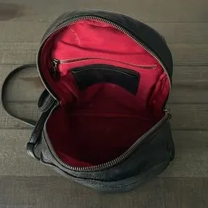 Hammitt | Bags | Hammitt La Shane Mini Backpack Black 